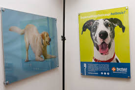 Our pledge is to create an inclusive environment where associates can be themselves, so that we can find value in our differences. Vet Accused Of Pet Stealing Sues Former Employer Pelham Al Patch