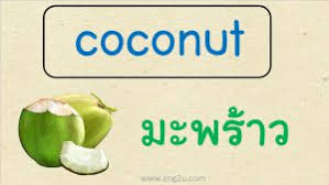 จากภาษาละติน mamma เต้านม) เป็นกลุ่มของสัตว์ มีกระดูกสันหลังที่ประกอบขึ้นเป็นชั้นสัตว์เลี้ยงลูกด้วยนม (mammalia. à¸„à¸³à¸¨ à¸žà¸— à¸£ à¸›à¸ à¸²à¸ž à¸œà¸¥à¹„à¸¡ à¸ à¸²à¸©à¸²à¸­ à¸‡à¸à¸¤à¸© Fruits à¹€à¸£ à¸¢à¸™à¸ à¸²à¸©à¸²à¸­ à¸‡à¸à¸¤à¸©