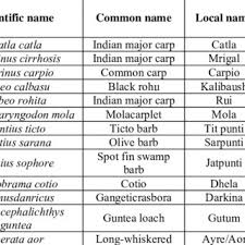 Surnames starting with the letter b. List Of Different Fish Species With Their Family Name Scientific Name Download Scientific Diagram