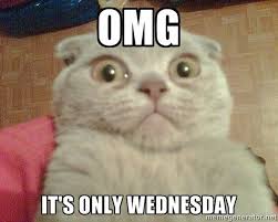 Check spelling or type a new query. 45 Hump Day Memes To Get You Through The Rest Of The Week Inspirationfeed