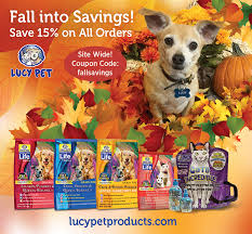 Improve your pet's health, today! Fall In Love With Lucy Pet Products Starting Today Save 15 On All Lucy Pet Products Using Code Fallsavings At Www Lucypetproducts Pets Food Animals Coding