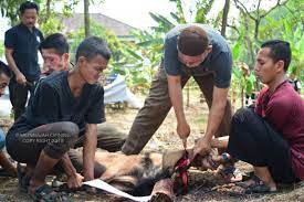 We did not find results for: Yuk Simak 5 Hikmah Dan Manfaat Dalam Berkurban
