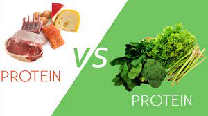 Animal Vs Plant Protein Plant Protein Plant Based Protein Animal Protein