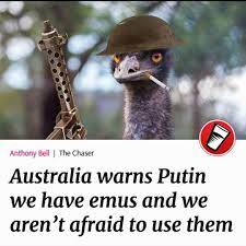 Emu War: Image Gallery (List View) | Know Your Meme