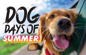 (check out this family guide to stargazing during the dog days of summer.) Dog Days Dl 2 Mix 94 5 Wlrw