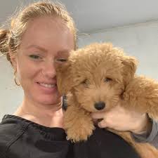 Heather's Mermaid Dogs Grooming