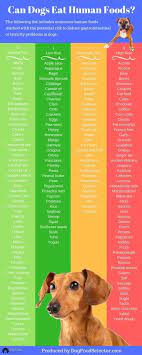 What Food Is Toxic To A Dog Lots Of Helpful Pinnable Charts Human Food For Dogs Dog Food Recipes Dog Infographic