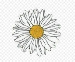 We did not find results for: Flower Yellow White Daisy Aesthetic Freetoedit Transparent Daisy Stickers Png White Daisy Png Free Transparent Png Images Pngaaa Com