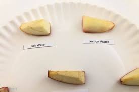 Apple Oxidation Science Experiment Mombrite