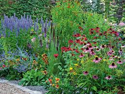 Geniessen Statt Giessen Gartengestaltung Dekoration Gartenpraxis Mein Garten Garten Garten Pflanzen Gartengestaltung