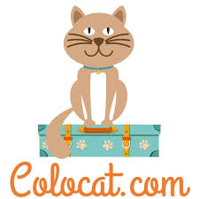 Colocat, la colonie des chats
