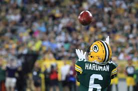 The Packers' 2025 vested veterans entering cutdowns | Acme Packing Company