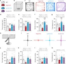 Is it possible that the test does not pass. Igsf9b Regulates Anxiety Behaviors Through Effects On Centromedial Amygdala Inhibitory Synapses Nature Communications