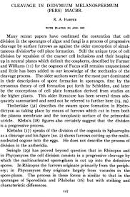 Image result for Melanospermum