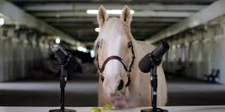Relaxez Vous Avec Le Premier Cheval Qui Pratique L Asmr En Mangeant Des Pommes Et Des Carottes Asmr Cheval Carotte