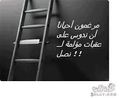أقوال و حكم قيمة أمثال و عبر جميلة صور لأجمل كلام Ladder Decor Home Decor Horse Pictures