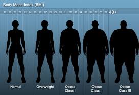 The Real Deal On Your Body Mass Index Chart