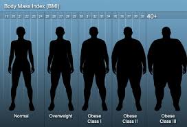 the real deal on your body mass index chart