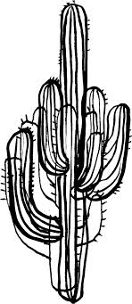 Cactus clipart is the very item that every graphic designer should have in his or her graphic elements collection. 2048 X 2048 1 Cactus Png Black And White Clipart Large Size Png Image Pikpng
