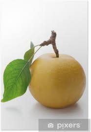 We grow numerous varieties of asian pears, european perry pears, and heirloom apples to make our perry and cider. Nashi Pear Poster Pixers We Live To Change