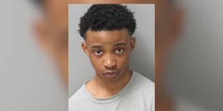 15-year-old sentenced to 20 years in prison for carjacking murder of St.  Louis woman