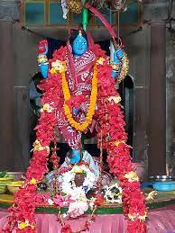 Maa Hanseswari Temple