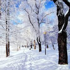 الشتاء الطبيعة خلفيات حية For Android Apk Download