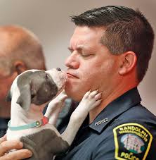 Photos: Dozens of dogs rescued from alleged puppy mill in Randolph