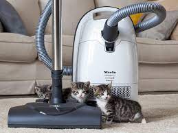 Not all vacuum cleaners for pet hair are created equal, and if you pick the wrong one, you're going to get stuck pulling hair from every. Best Vacuums For Pet Hair In 2020