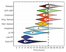 violin plot wikipedia