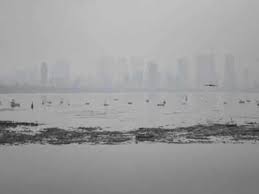 Get the latest weather forecast in mumbai, india for today, tomorrow, and the next 14 days, with accurate temperature, feels like and humidity levels. Mumbai Weather Forecast Mumbai Brace For Chilly Mornings From Next Week