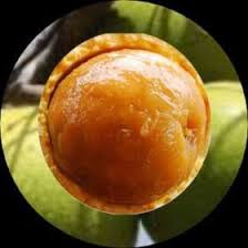 Image result for Landolphia owariensis