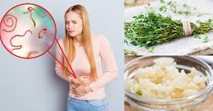 Remedios Naturales Para Combatir Los Parasitos Intestinales