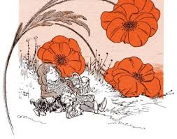 Both the book and the film the wizard of oz feature iconic scenes of dorothy, toto, and the cowardly lion (the only flesh and blood members of the gang) a deadly flower might seem curious at first, but poppies, of course, are no ordinary bloom. Chapter 8 The Deadly Poppy Field Bygosh Com