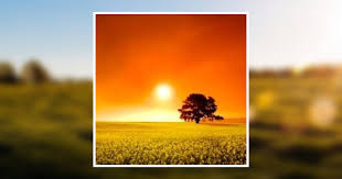 Charles Blanton Obituary February 25, 2017