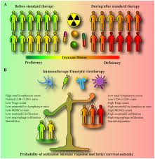 Frontiers | The need for paradigm shift: prognostic significance and  implications of standard therapy-related systemic immunosuppression in  glioblastoma for immunotherapy and oncolytic virotherapy
