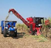 Sugarcane Harvester at Best Price in India
