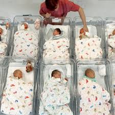 De Kate Middleton au porno pour maman, tout ce qui booste la natalité