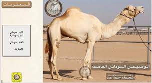 Maybe you would like to learn more about one of these? Ø±Ø§Ø¹ÙŠ Ø§Ù„Ø®ÙŠØ§Ù„ÙŠÙ‡ On Twitter 52 ÙˆØ±Ø³Ø§Ù† Ø§Ù„Ø¹Ø§ØµÙØ©