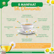 Check spelling or type a new query. 8 Manfaat Teh Chamomile Yang Tidak Perlu Diragukan