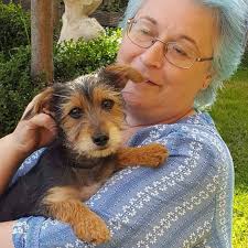 What's happening to a plant with yellowing leaves?