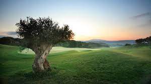 Golf course & country club. Golf Resort Greece Golf Breaks Courses Costa Navarino