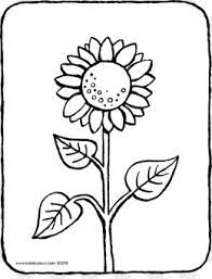 Ilustrasi bunga matahari kuning, ilustrasi bunga matahari umum, karangan bunga matahari, merangkai bunga, bunga matahari, biji bunga matahari png. Free Download Sunflower Black And White Png Cleanpng Kisspng