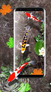 Sitio web con los mejores fondos de pantalla, fondos de escritorio y wallpapers en alta resolución hd para descargar totalmente gratis. Fondo De Pantalla En Movimiento 3d De Pescados For Android Apk Download