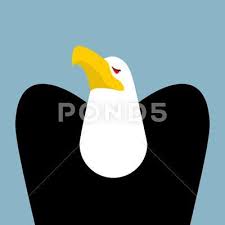 Bird On The Head Figure Of Speech Bald Eagle Birds Of Prey Portrait Hawk On Blue Background Stock Illustration Ad Prey Portrait Birds Bald Bald Eagle Blue Backgrounds Birds Of Prey