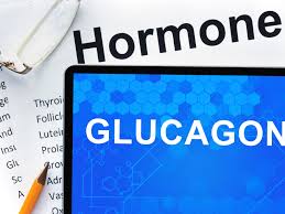 ›› convert calorie burned to gram. Unlock Glucagon Your Body S Fat Burning Hormone