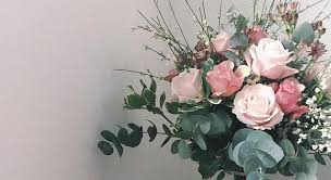 Kyler Cox and Leviathan Kelley's Wedding Website