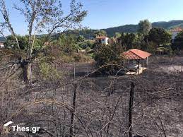 Ὀργάνωση μαζικῆς κατάθεσης μηνυτήριου ἀναφορᾶς σ' ὅλες τίς εἰσαγγελίες τῆς Tvz3dclv7bf1mm