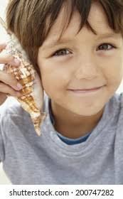 8+ Thousand Sound Shell Royalty-Free Images, Stock Photos & Pictures