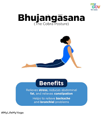 My Life My Yoga My Yoga Workout Yoga